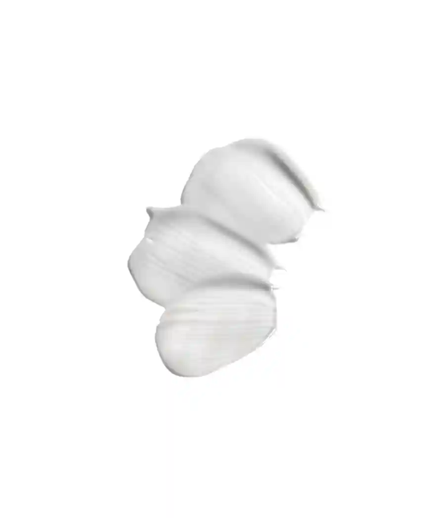 Night Cream