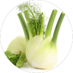 Fennel